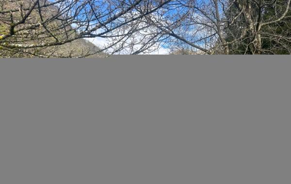 Vente Maison Suc-et-sentenac   