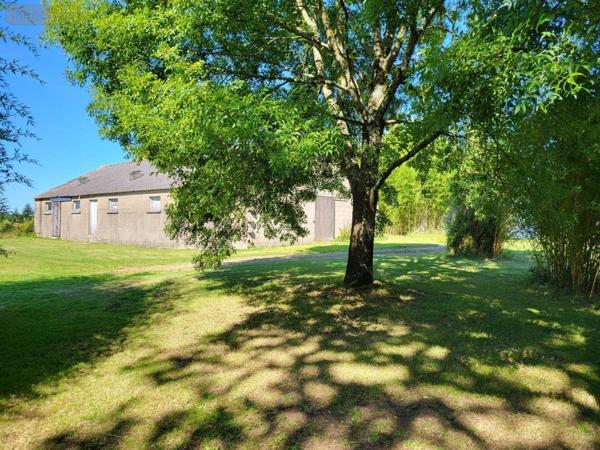 Maison à vendre à La Forêt-Fouesnant dans le Finistère (29940), ref : 29014-2962