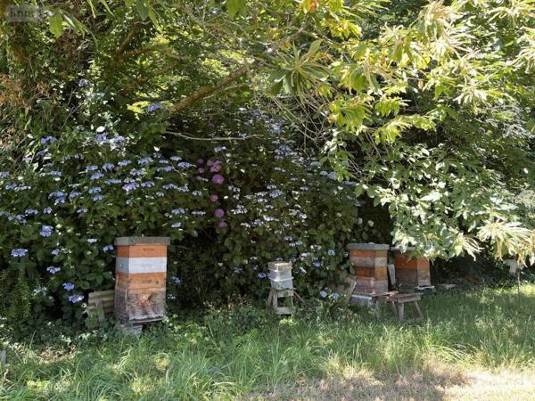 Maison à vendre à La Forêt-Fouesnant dans le Finistère (29940), ref : 29014-2962