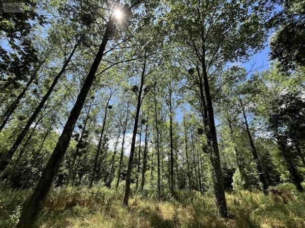 Maison à vendre à La Forêt-Fouesnant dans le Finistère (29940), ref : 29014-2962