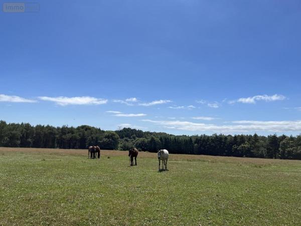 Maison à vendre à La Forêt-Fouesnant dans le Finistère (29940), ref : 29014-2962