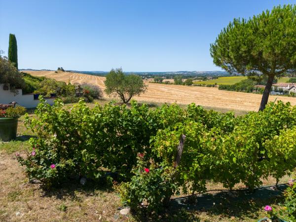 Vente Maison de luxe Lavaur 7 Pièces 278 m²