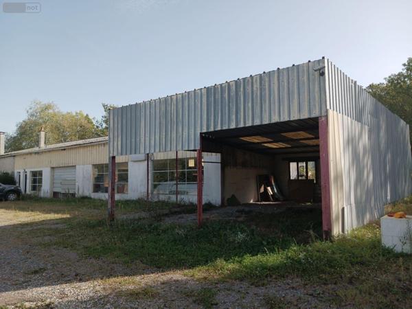 Fonds et/ou murs commerciaux à vendre à Vendeuvre-sur-Barse dans l'Aube (10140), ref : 10063/1197