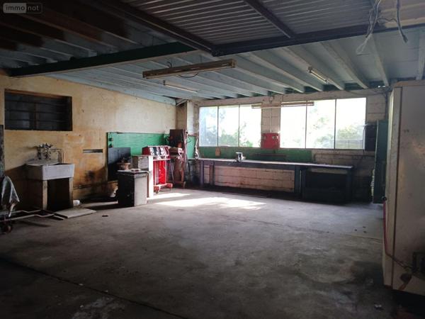 Fonds et/ou murs commerciaux à vendre à Vendeuvre-sur-Barse dans l'Aube (10140), ref : 10063/1197