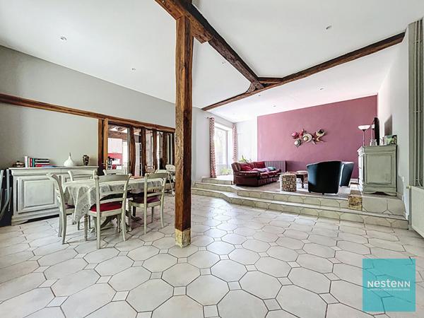 Proche Amboise, achat propriété maison + gîte de 396 m² sur 13hec.