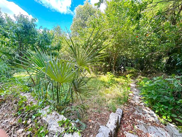 MAISON FAMILIALE RÉNOVÉE, GRAND JARDIN EN ESPALIER, À DEUX PAS DE LA GARE ET DES COMMODITÉS