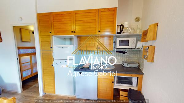 Enchastrayes (04400) VENTE / STUDIO - SUPER-SAUZE