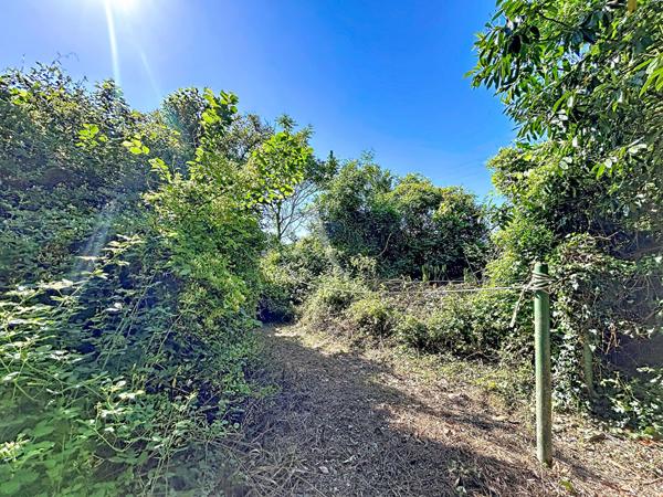 Terrain Rubelles 768 m2