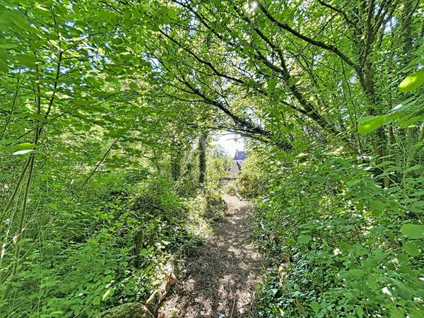 Terrain Rubelles 768 m2