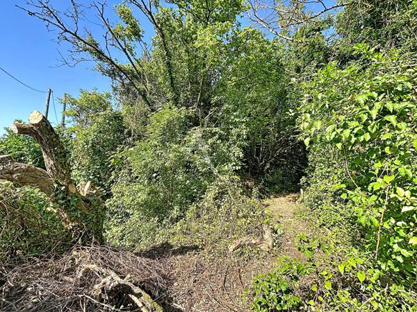 Terrain Rubelles 768 m2