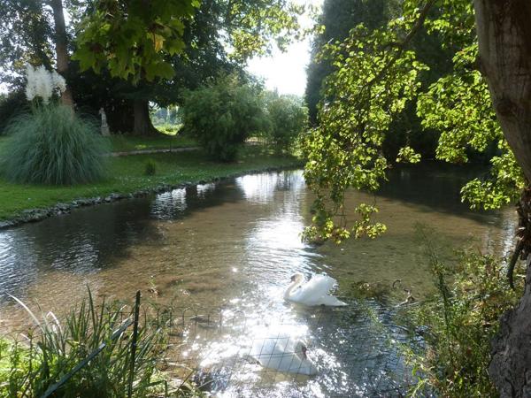 Château 850 m² à Hénouville 76840