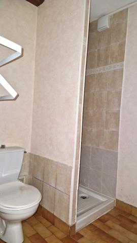 Charmant immeuble en pierre ( 2 logements ) au coeur de Lisle a 15 km de Perigueux