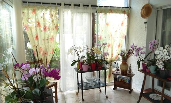 Villa plain pied, 120 m2, piscine et garage (Viager occupé)