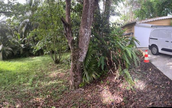 Maison à vendre    4 pièces • 158 m2 Petit-Bourg