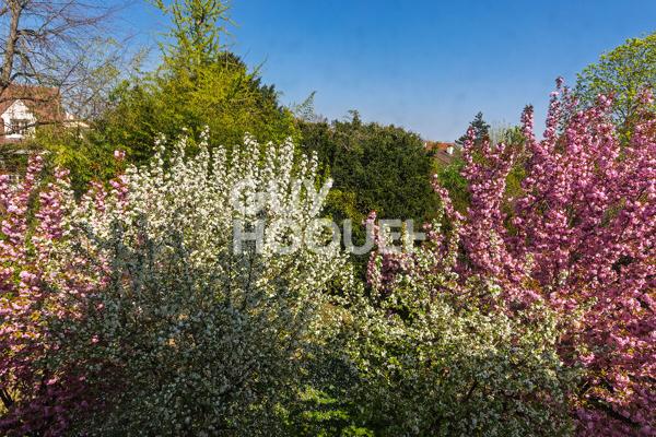 Belle maison à Croissy Sur Seine 8 pièce(s) 183 m2 sur 1000m2 de terrain