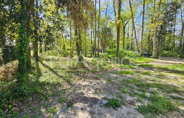 Maison neuve de plain-pied Terrasse sud-ouest Secteur pr