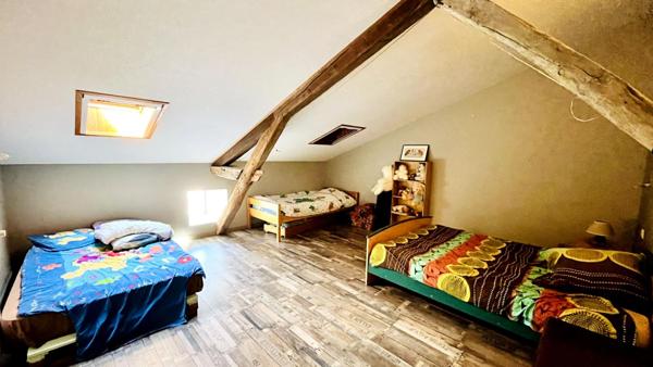 Maison Blaye Les Mines 7 pièce(s) 290 m2