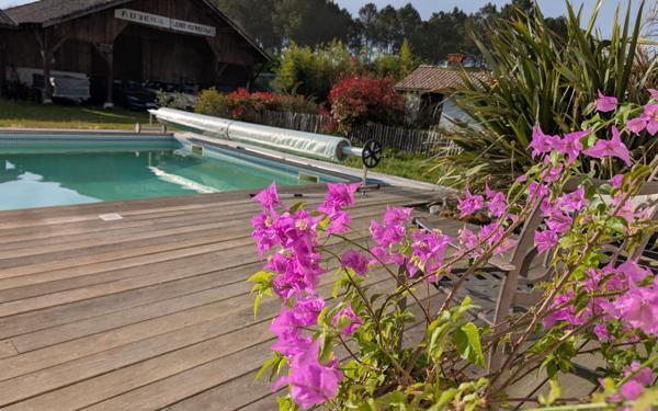 Maison à vendre    5 pièces •  Parentis-en-Born