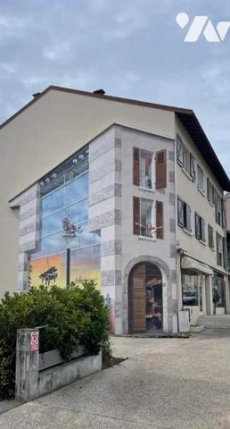 Vente Immeuble à Saint-Genis-Pouilly Centre ville 