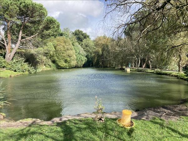 Maison à vendre |  Saint-Bonnet-sur-Gironde |  15 pièces | 395 m²