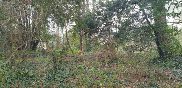 TERRAIN A BATIR PLOUGONVELIN