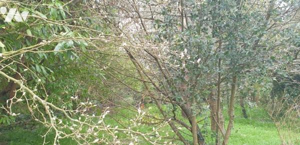 TERRAIN A BATIR PLOUGONVELIN