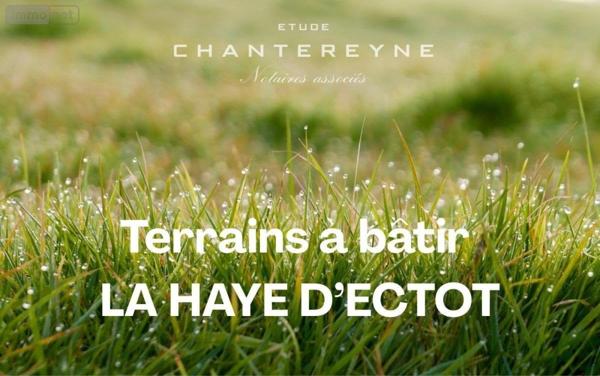 Terrain à Batir à vendre à La Haye-d'Ectot dans la Manche (50270), ref : 50108-4667