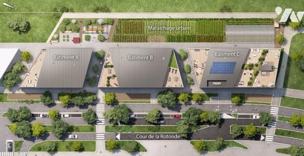 Programme Neuf ANCORA Type 4