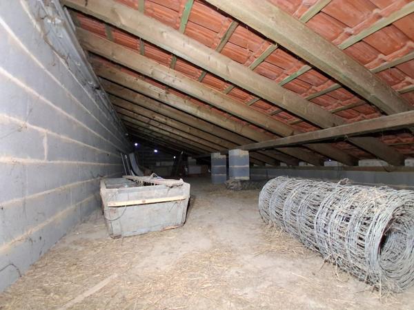 Maison individuelle F6 avec grand jardin pleine nature