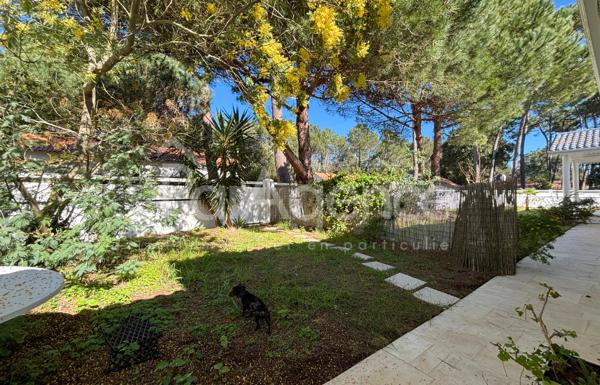 Maison contemporaine avec piscine et appartement indépendant