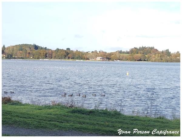 Terrain à vendre PLOERMEL (56)