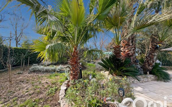 Maison à vendre    4 pièces •  Bollène