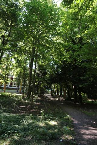 Beau 4 pièces de 84 m² dans résidence standing sécurisée