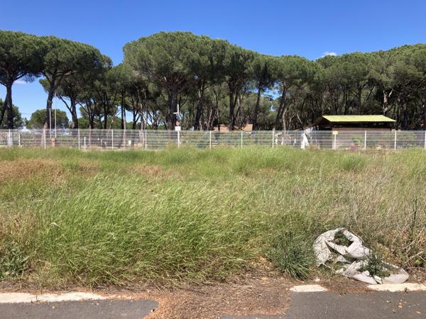 Terrain
        
        - 292 m² 116 100 € *