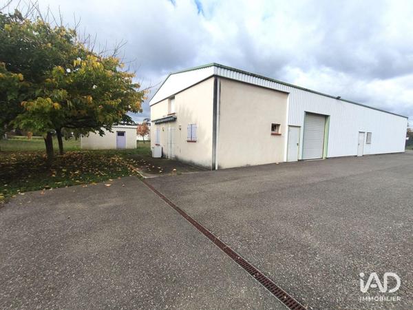 Local d’activité à vendre 308 m² Castelculier