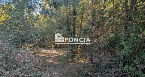 À vendre Terrain 9571 m² - Gigean 34770