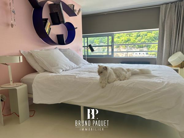 Loft Type IV - POITIERS - Centre-Ville