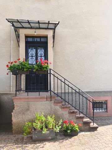 Appartement F4 à SCHILTIGHEIM