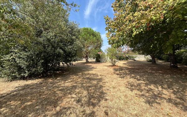 Maison à vendre    5 pièces • 180 m2 Muret