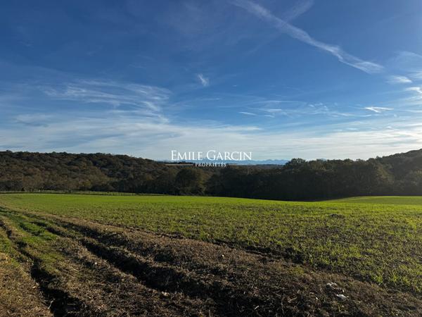 À vendre - Salies de Béarn - Ancien bâti avec terres agricoles
