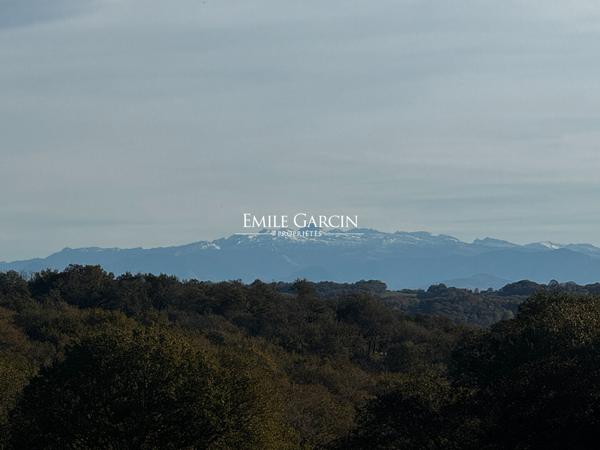 À vendre - Salies de Béarn - Ancien bâti avec terres agricoles