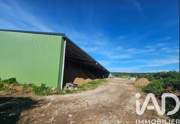 Murs commerciaux  à vendre 1 600 m² Montrond