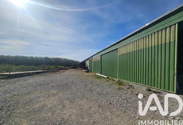 Murs commerciaux  à vendre 1 600 m² Montrond