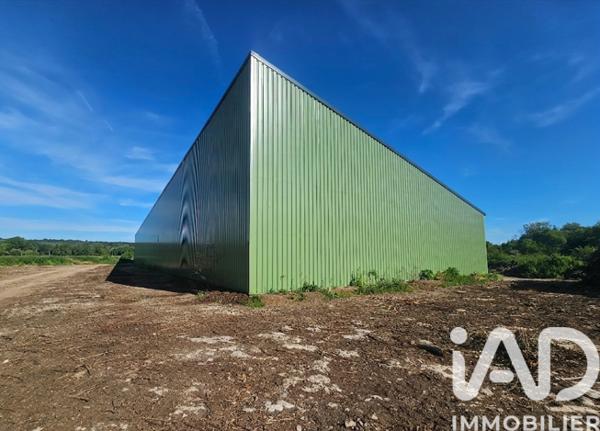 Murs commerciaux  à vendre 1 600 m² Montrond