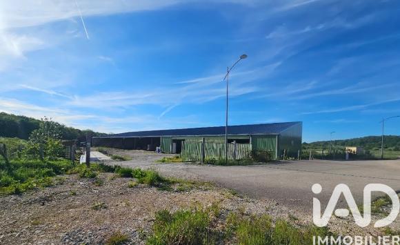 Murs commerciaux  à vendre 1 600 m² Montrond