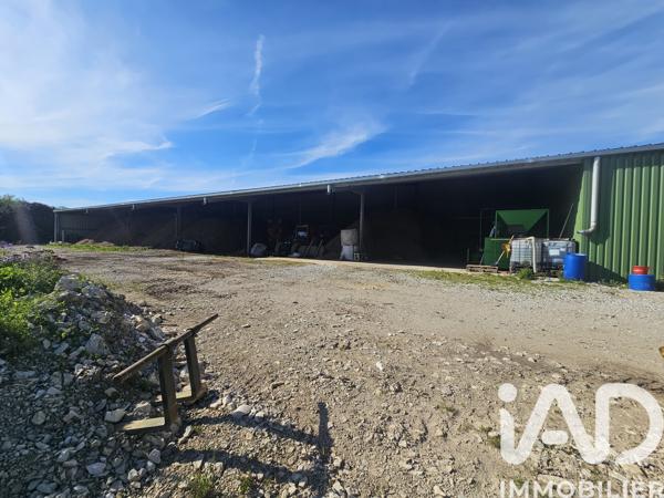 Murs commerciaux  à vendre 1 600 m² Montrond