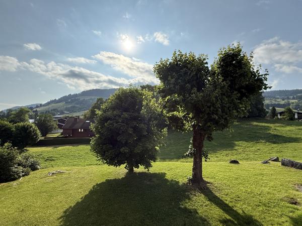 Megève (74120) GRAND 5 PIECES A RENOVER - SECTEUR JAILLET