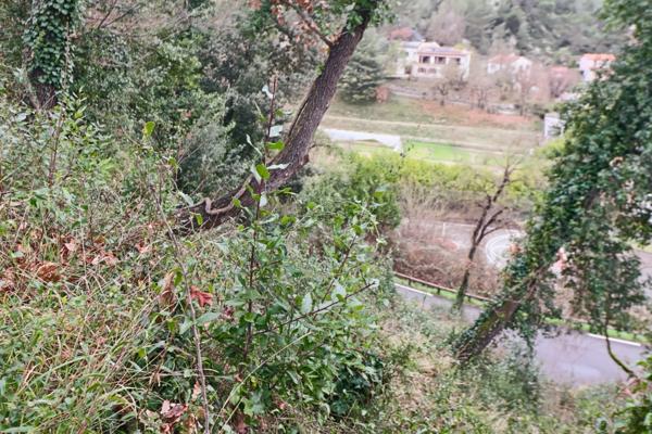 Terrain à vendre de 1003 CONTES (06)