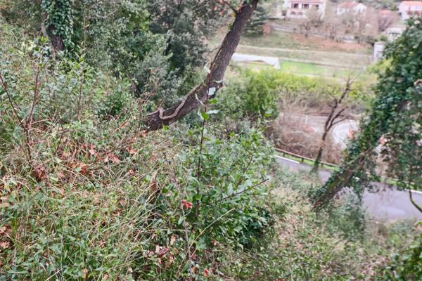 Terrain à vendre de 1003 CONTES (06)