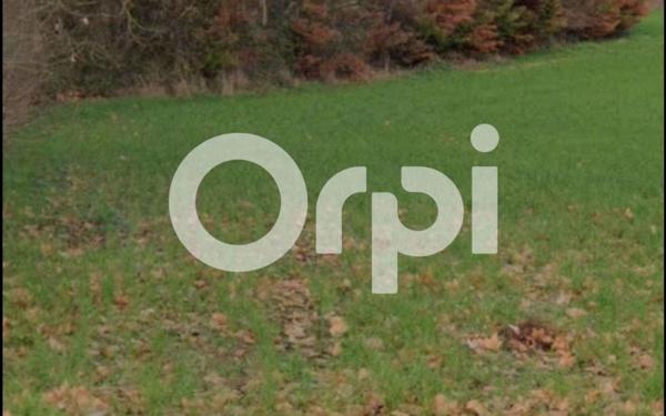 Terrain à vendre    Quint-Fonsegrives